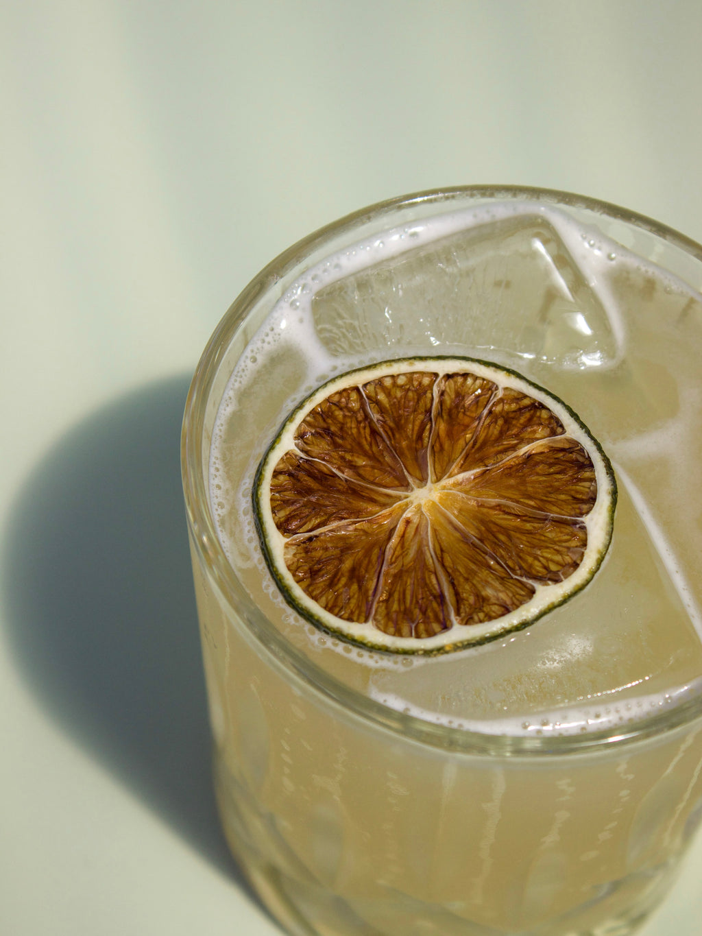 Dehydrated Citrus Garnish Pack