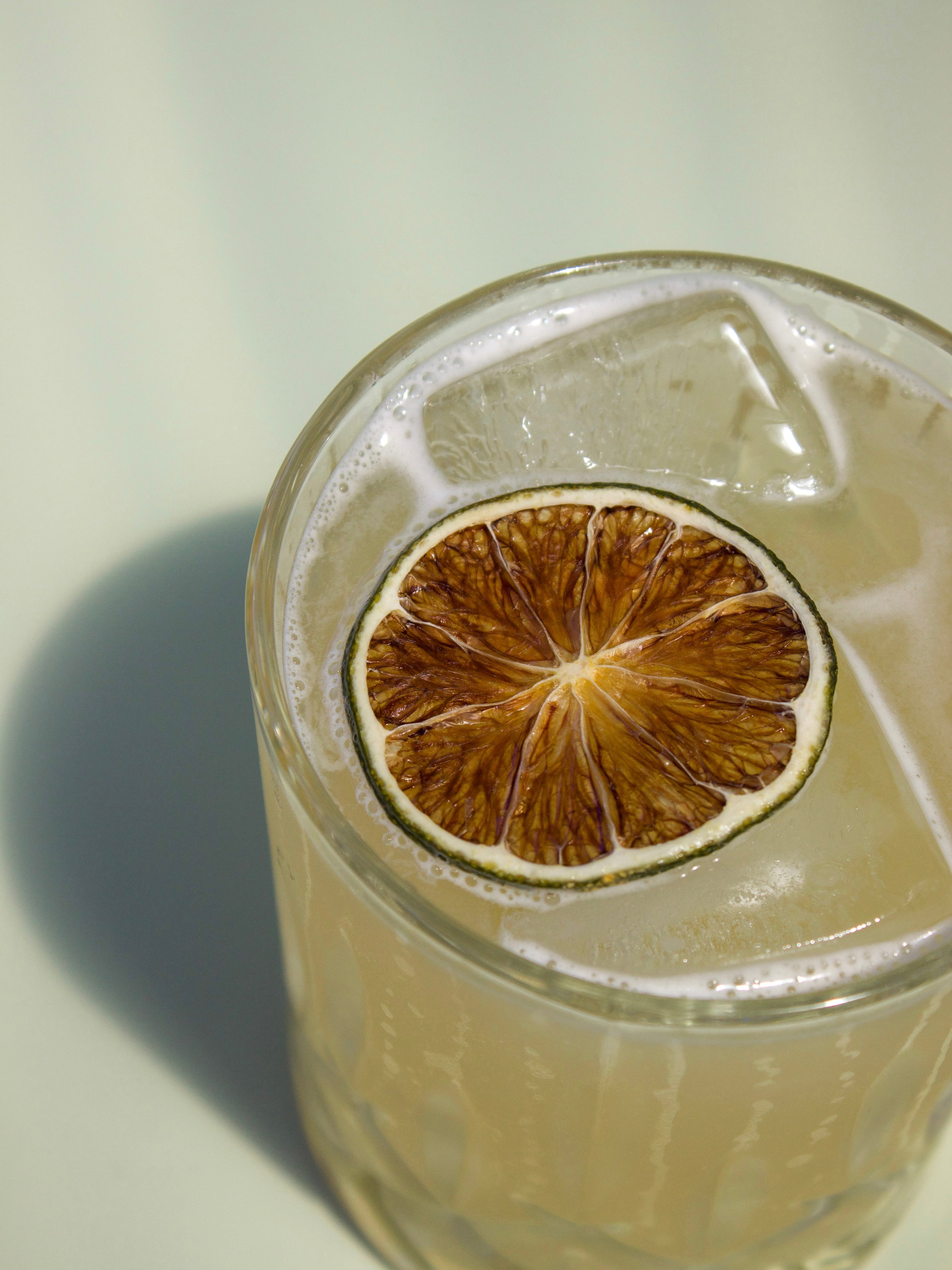 Dehydrated Citrus Garnish Pack